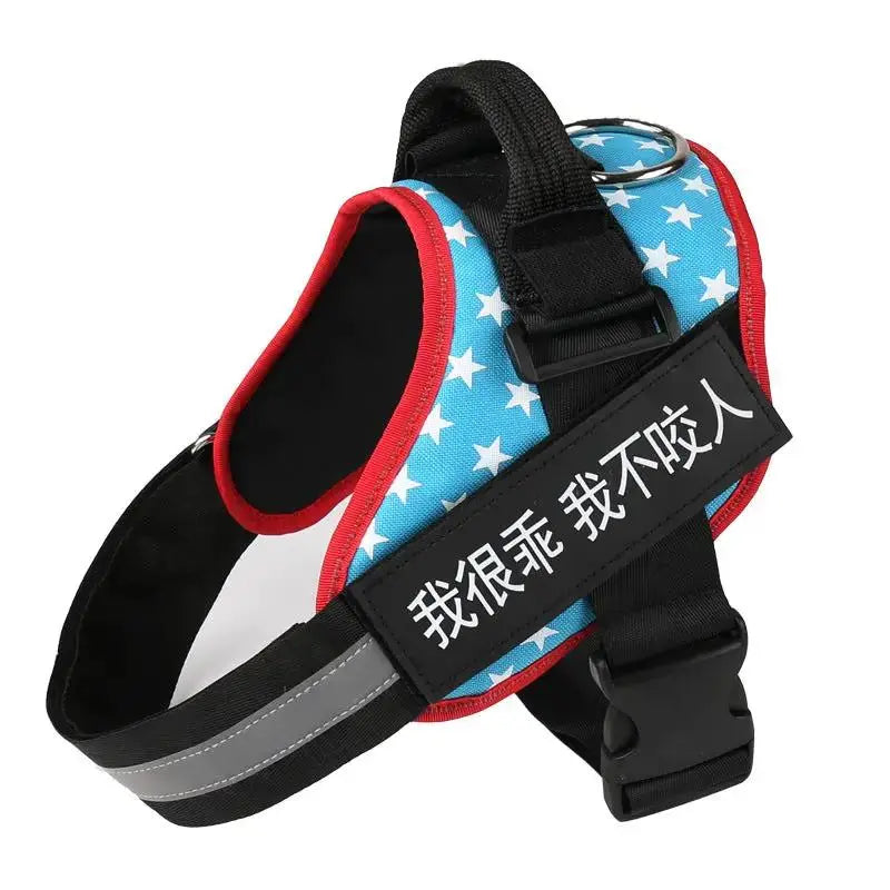 Personalized K9 Pet Harness & Leash | Custom Adjustable Nylon Dog Walking Gear by TED