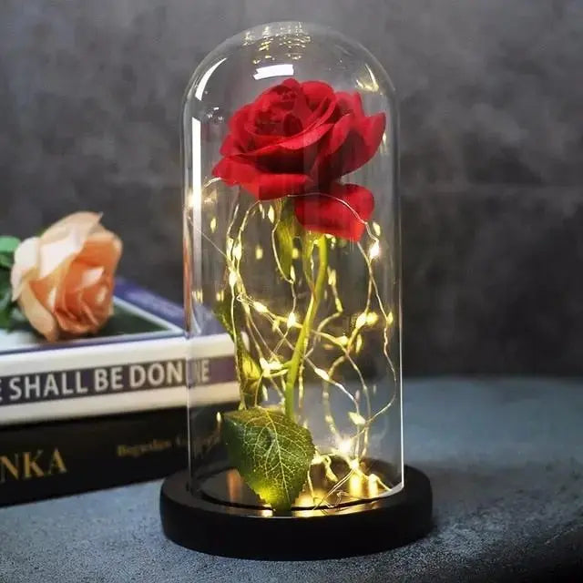 Forever Rose in Glass Dome with LED Lights | Romantic Valentine’s & Mother’s Day Gift by EPR