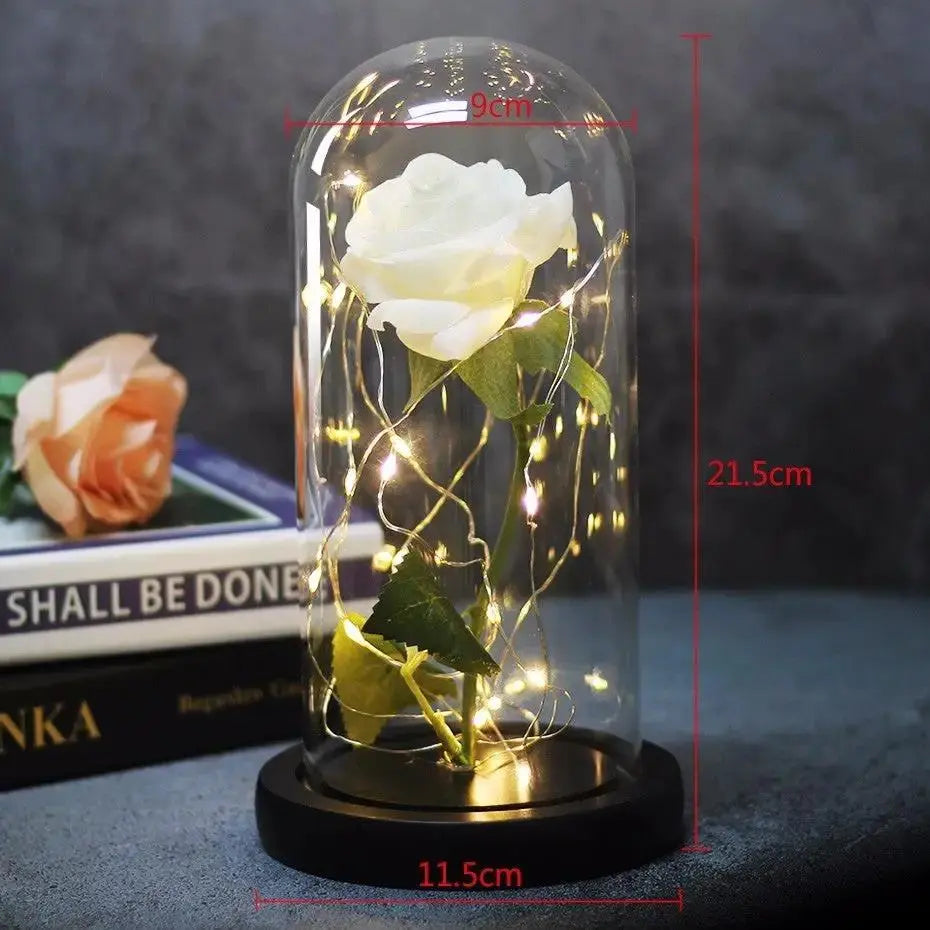 Forever Rose in Glass Dome with LED Lights | Romantic Valentine’s & Mother’s Day Gift by EPR