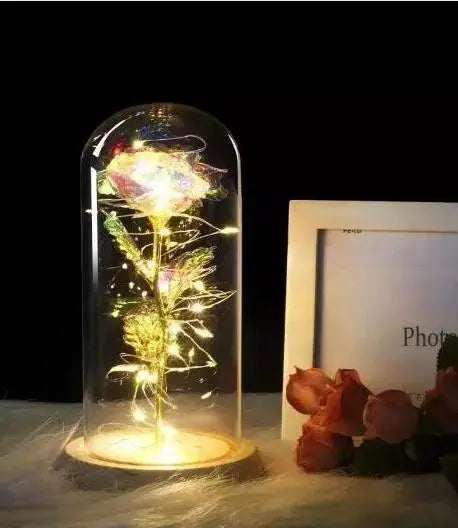 Forever Rose in Glass Dome with LED Lights | Romantic Valentine’s & Mother’s Day Gift by EPR