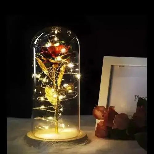 Forever Rose in Glass Dome with LED Lights | Romantic Valentine’s & Mother’s Day Gift by EPR
