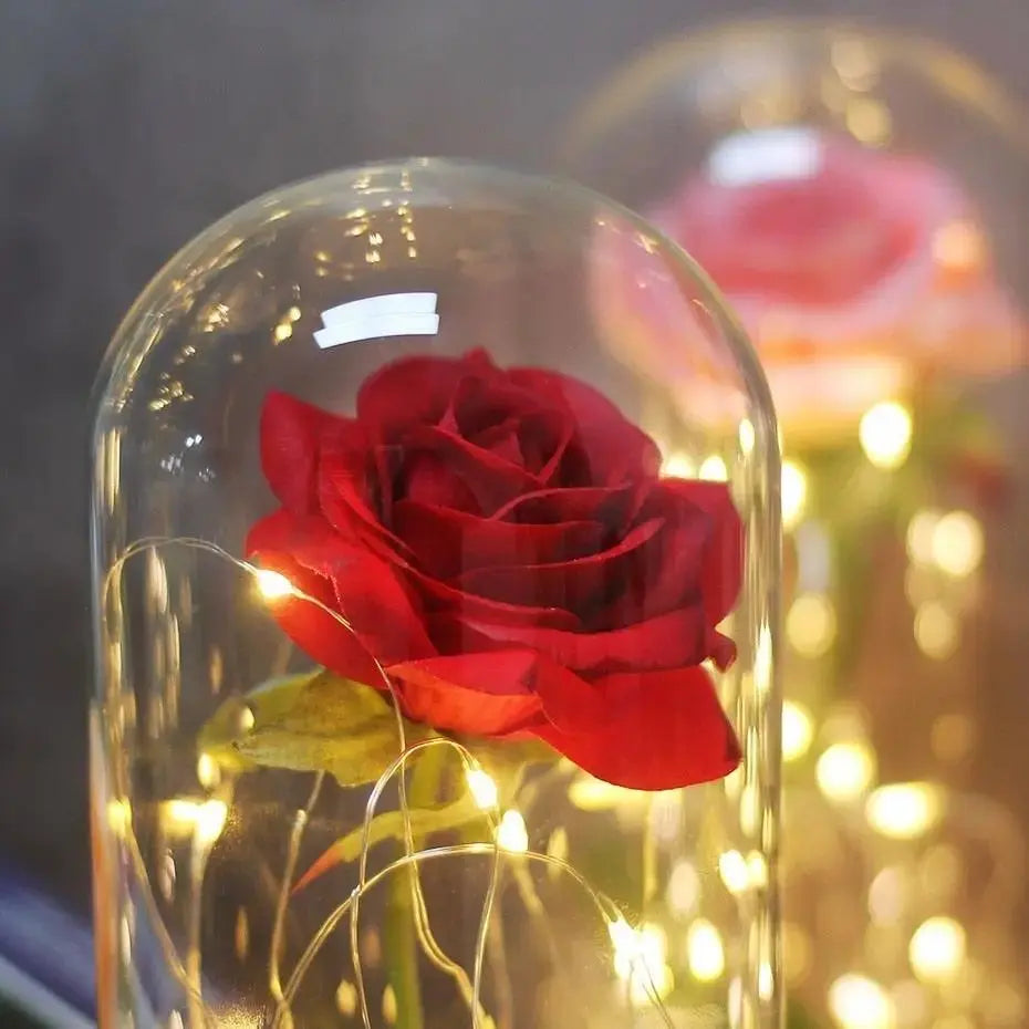 Forever Rose in Glass Dome with LED Lights | Romantic Valentine’s & Mother’s Day Gift by EPR