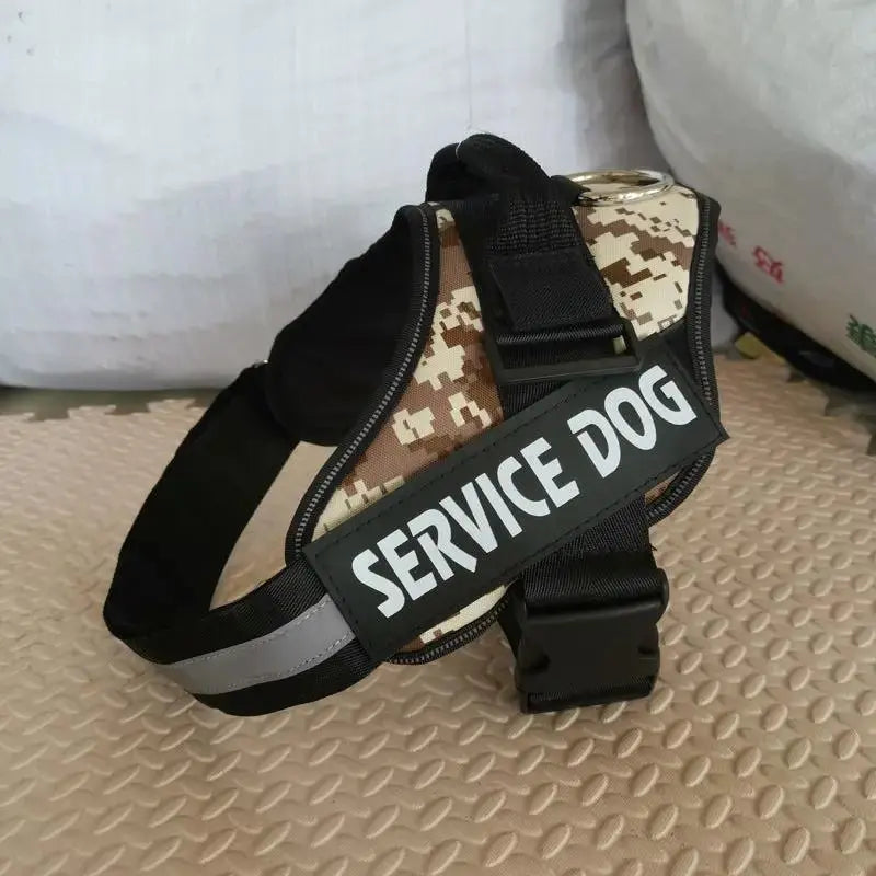 Personalized K9 Pet Harness & Leash | Custom Adjustable Nylon Dog Walking Gear by TED