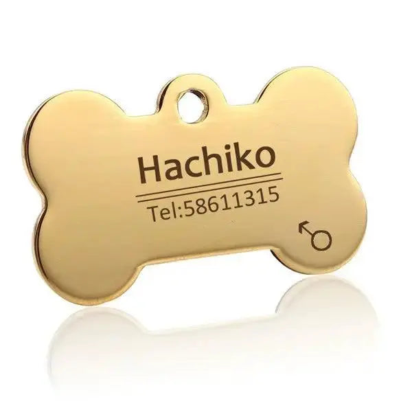 Personalized Stainless Steel Pet ID Tag | Custom Engraved Dog & Cat Name Tag by TED