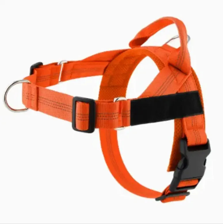 Personalized Adjustable Dog Harness & Leash Set | Custom Pet Walking Vest by TED