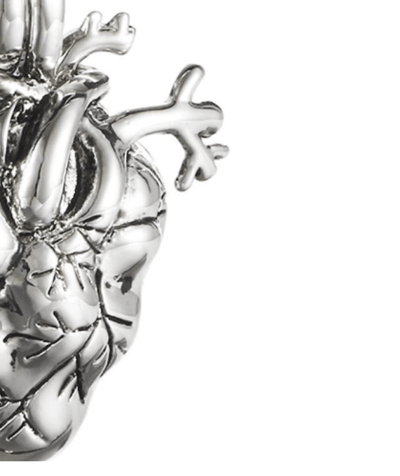Anatomical Heart Ashes Memorial Necklace Keepsake Pendant - Cherished Harbor Gifts