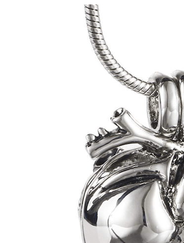 Anatomical Heart Ashes Memorial Necklace Keepsake Pendant - Cherished Harbor Gifts