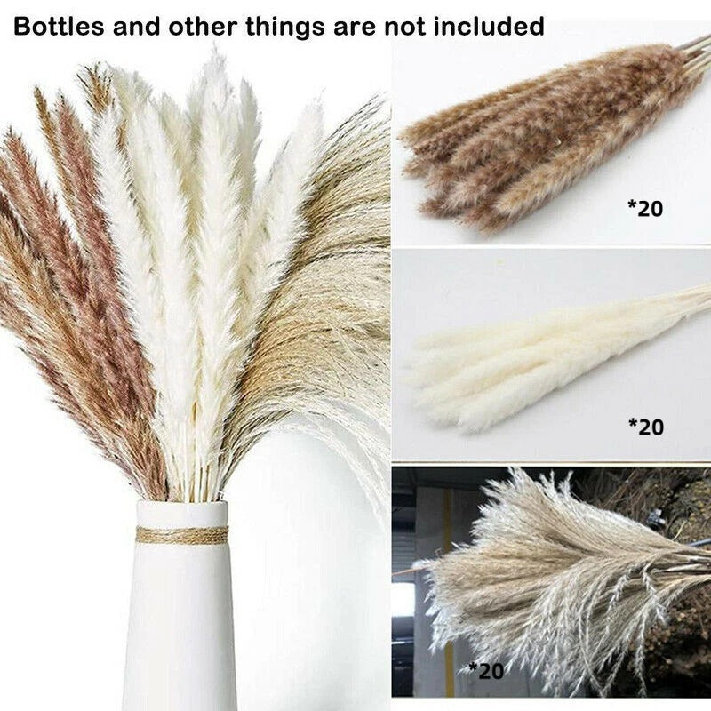 Natural Dried Flower Bouquet for Home and Wedding Decor - Cherished Harbor Gifts