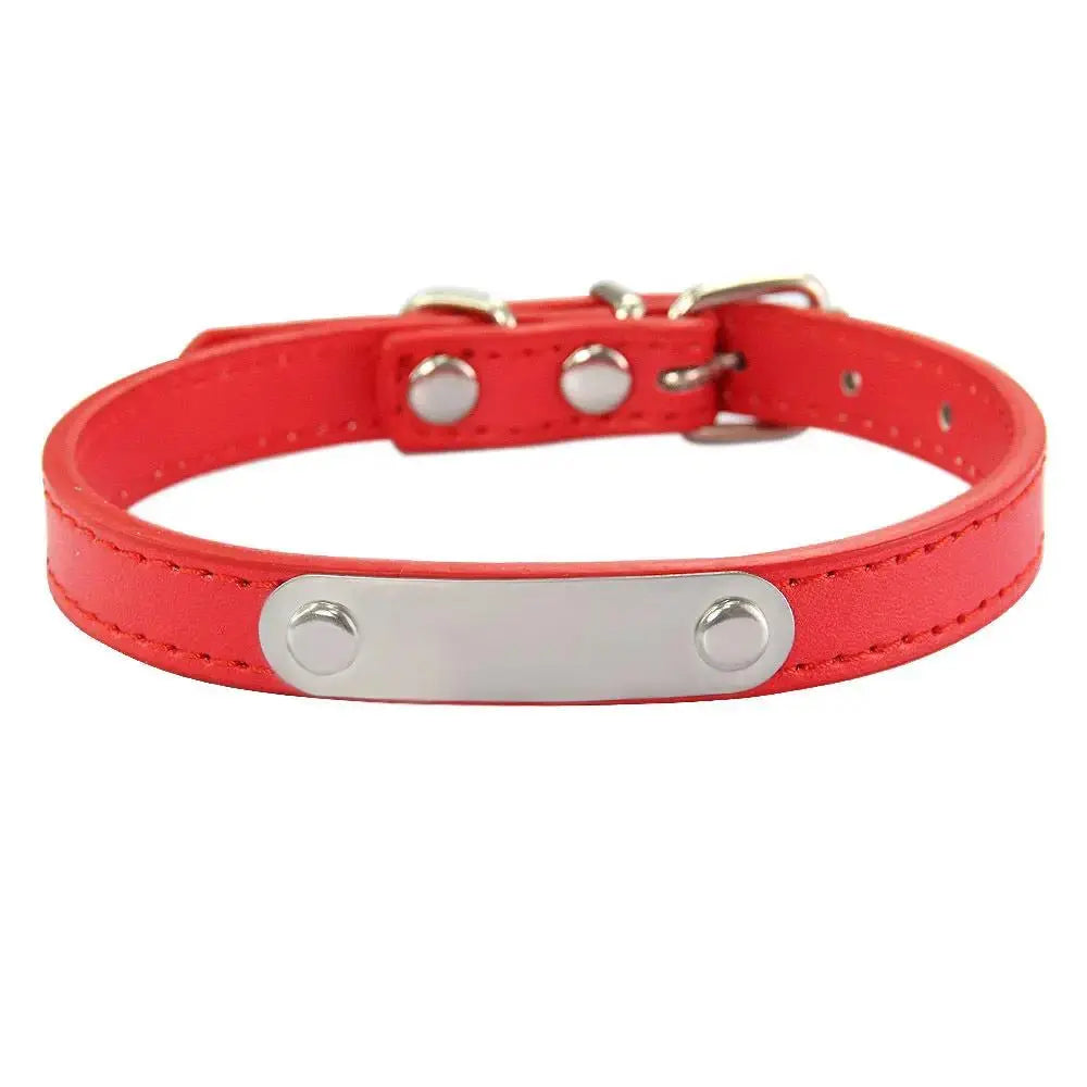 Personalized Engraved Pet Collar | Custom Name Collar for Dogs & Cats by TED