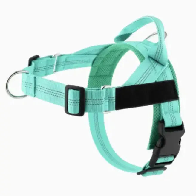 Personalized Adjustable Dog Harness & Leash Set | Custom Pet Walking Vest by TED
