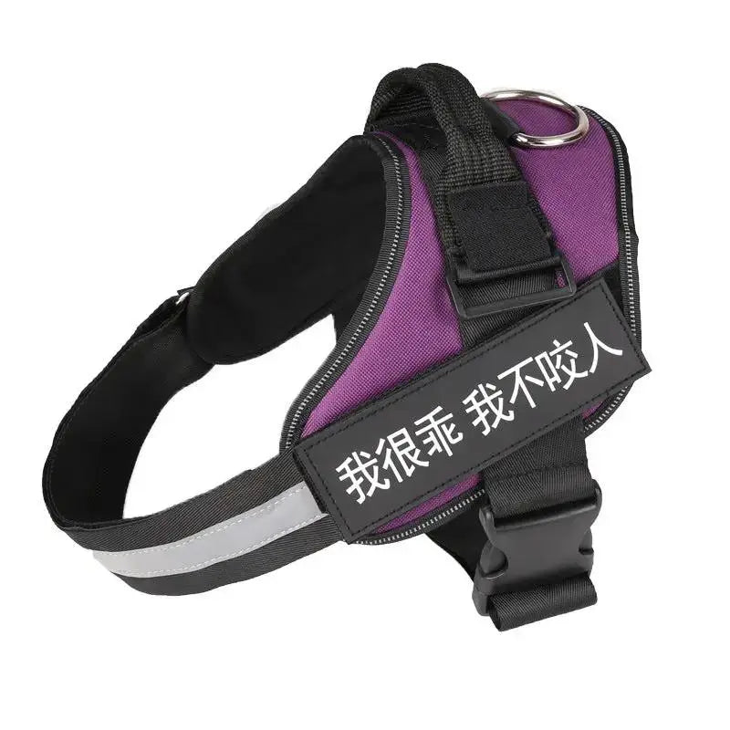 Personalized K9 Pet Harness & Leash | Custom Adjustable Nylon Dog Walking Gear by TED