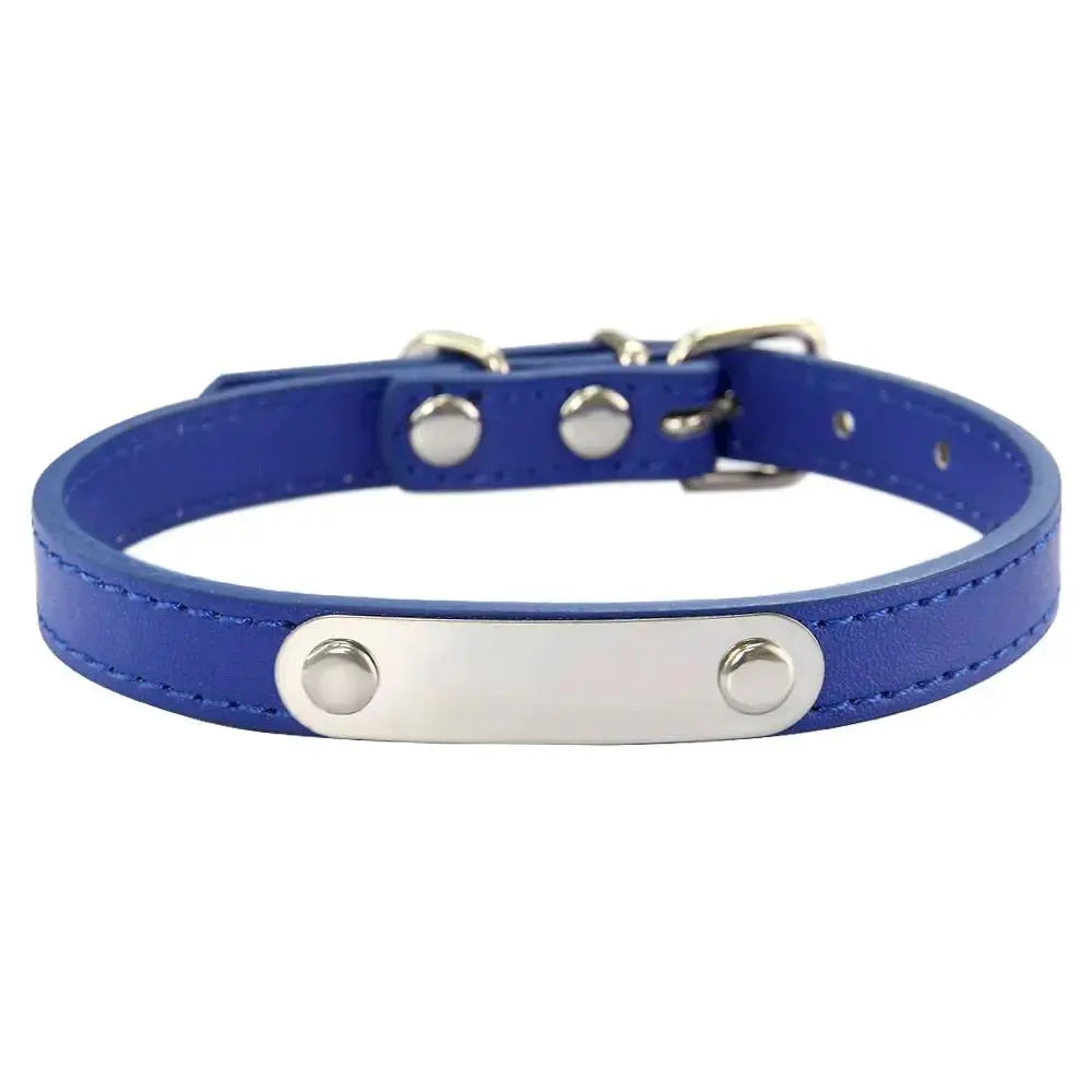 Personalized Engraved Pet Collar | Custom Name Collar for Dogs & Cats by TED
