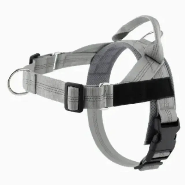 Personalized Adjustable Dog Harness & Leash Set | Custom Pet Walking Vest by TED