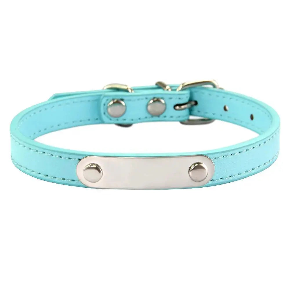 Personalized Engraved Pet Collar | Custom Name Collar for Dogs & Cats by TED