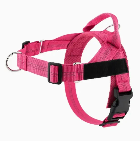 Personalized Adjustable Dog Harness & Leash Set | Custom Pet Walking Vest by TED