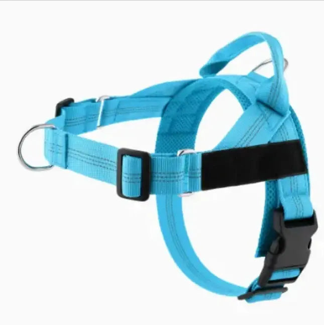 Personalized Adjustable Dog Harness & Leash Set | Custom Pet Walking Vest by TED
