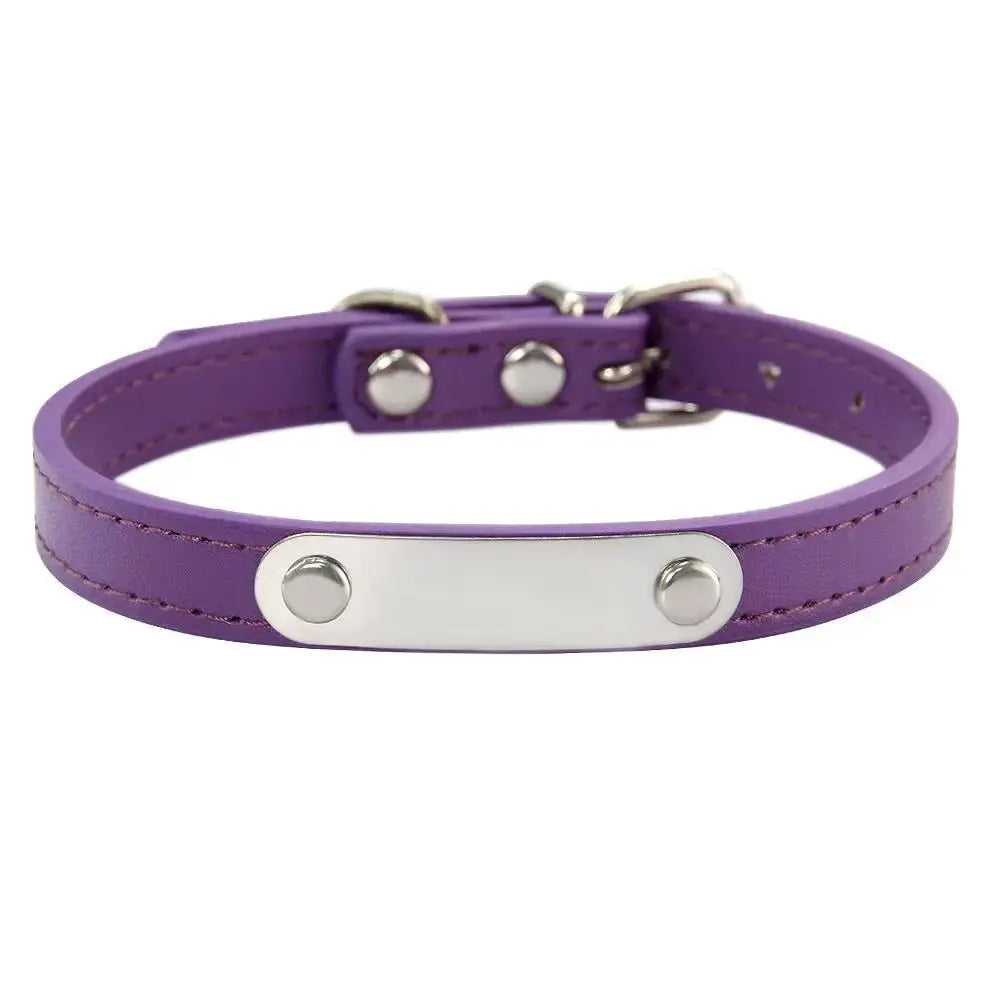 Personalized Engraved Pet Collar | Custom Name Collar for Dogs & Cats by TED