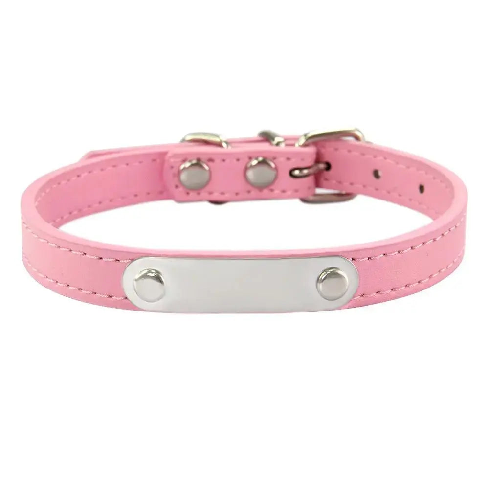 Personalized Engraved Pet Collar | Custom Name Collar for Dogs & Cats by TED