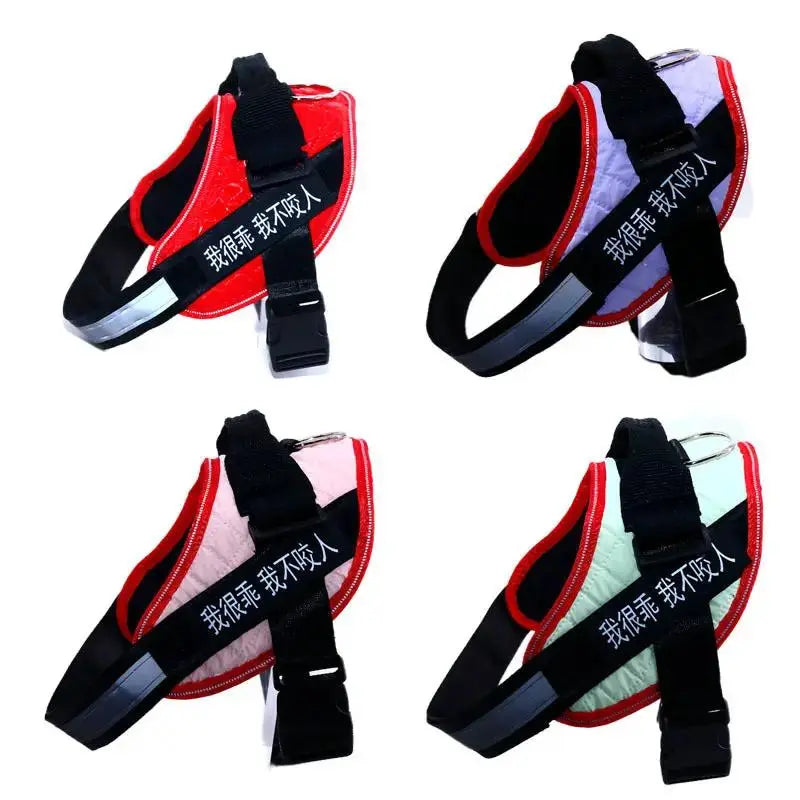 Personalized K9 Pet Harness & Leash | Custom Adjustable Nylon Dog Walking Gear by TED
