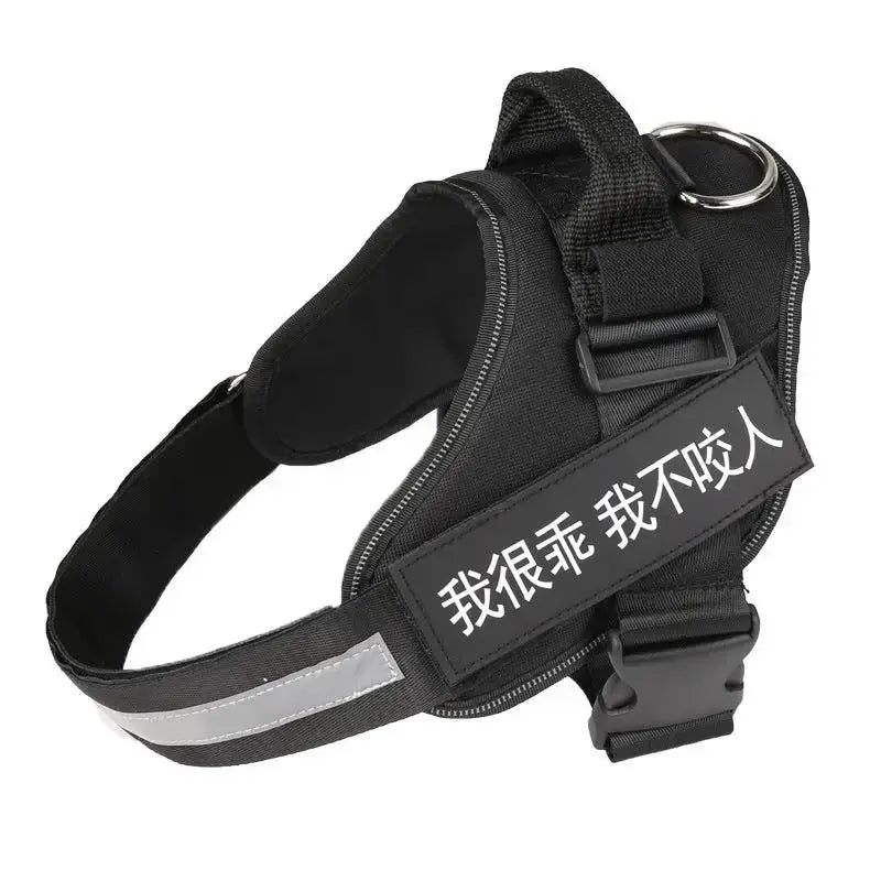 Personalized K9 Pet Harness & Leash | Custom Adjustable Nylon Dog Walking Gear by TED