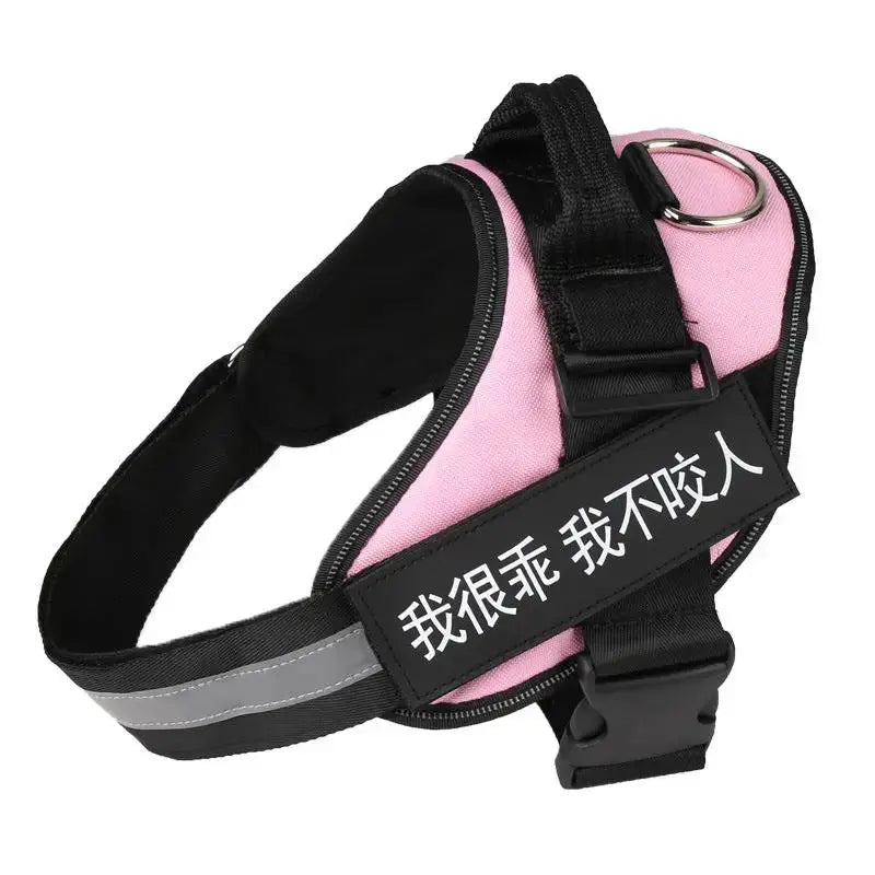 Personalized K9 Pet Harness & Leash | Custom Adjustable Nylon Dog Walking Gear by TED
