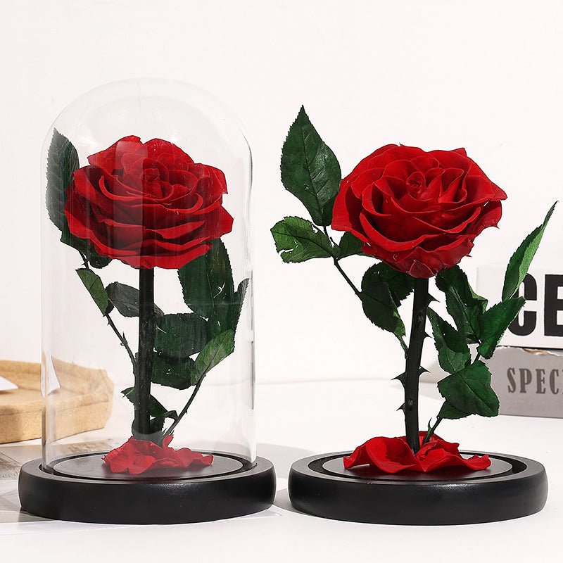 Eternal Rose Glass Dome Gift Box For Her - Cherished Harbor Gifts