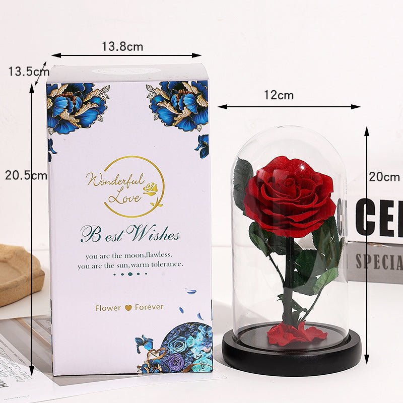 Eternal Rose Glass Dome Gift Box For Her - Cherished Harbor Gifts