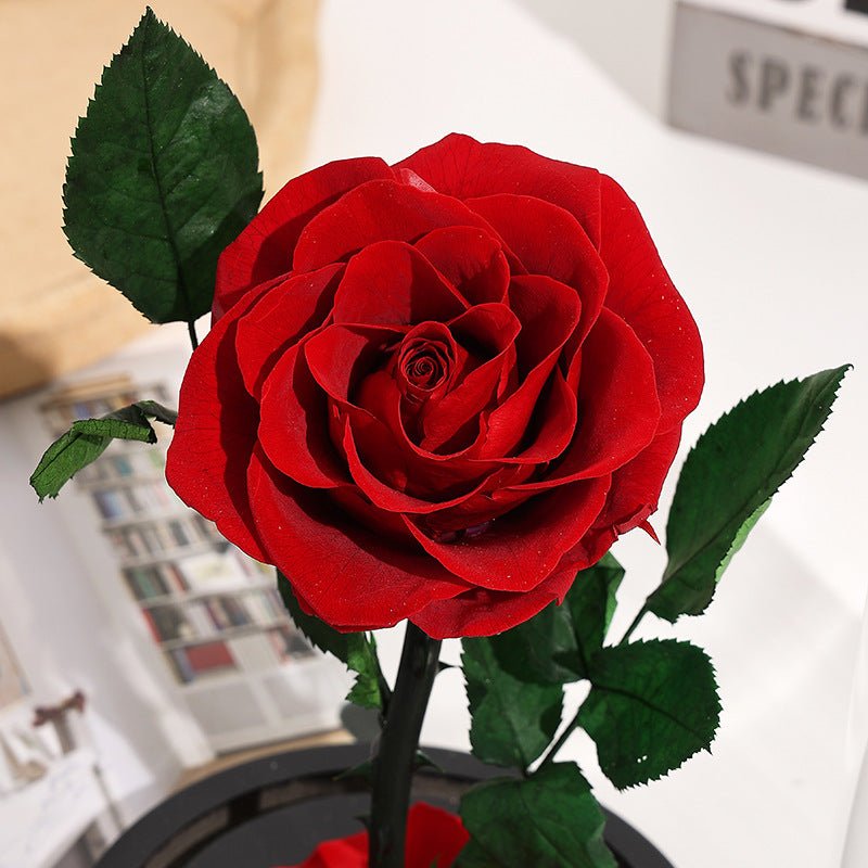 Eternal Rose Glass Dome Gift Box For Her - Cherished Harbor Gifts