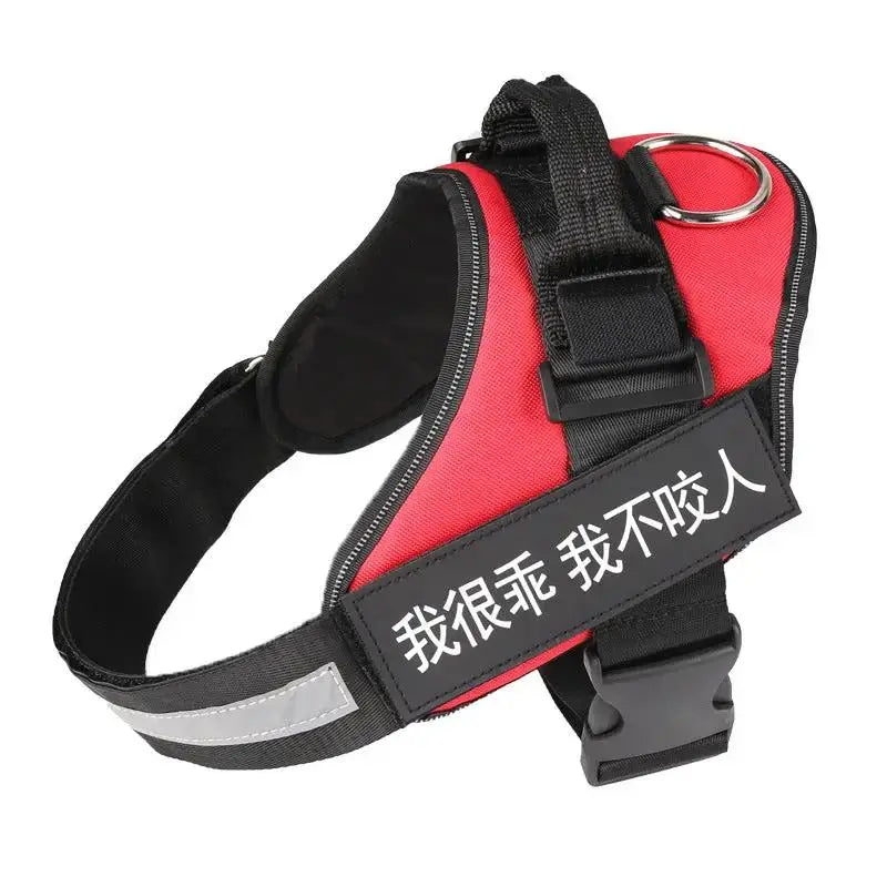 Personalized K9 Pet Harness & Leash | Custom Adjustable Nylon Dog Walking Gear by TED