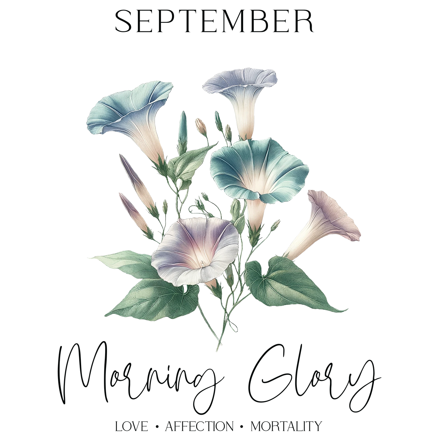Morning Glory flowers in soft blue and purple hues with green leaves.
