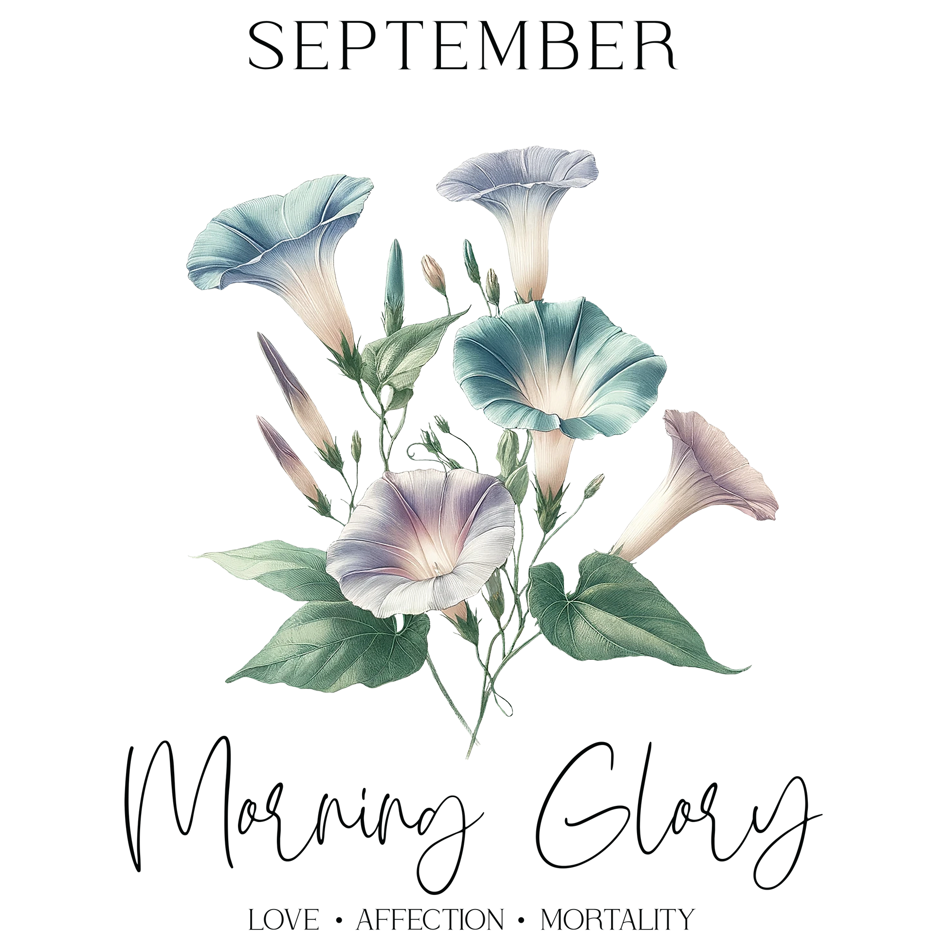 Morning Glory flowers in soft blue and purple hues with green leaves.