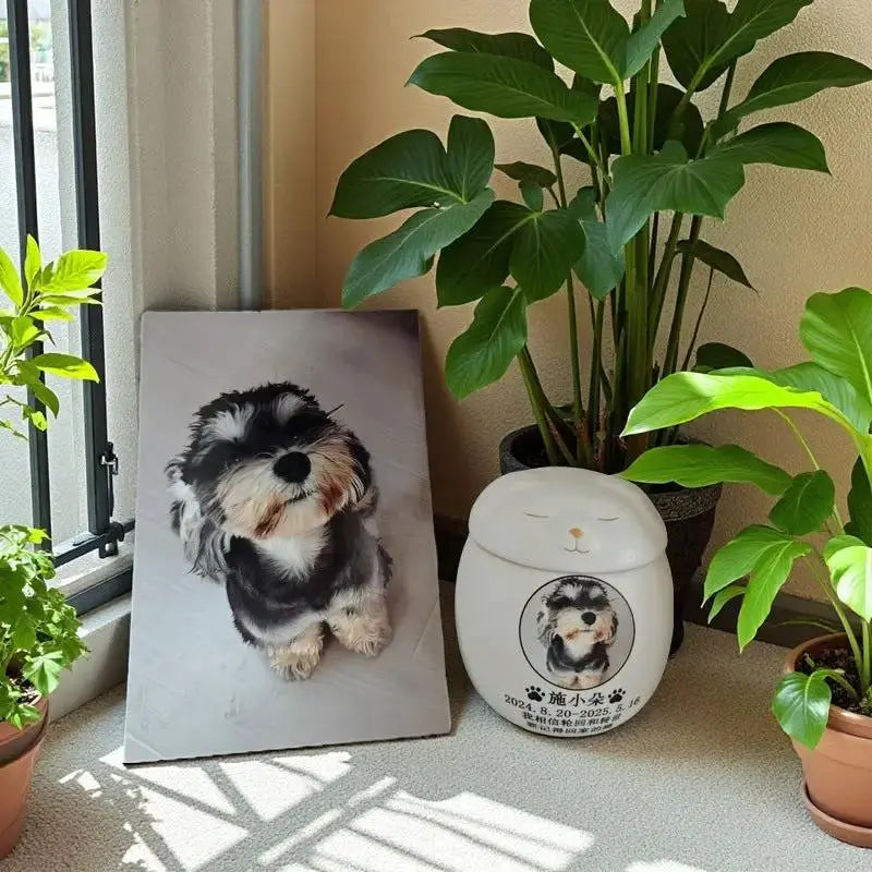 Personalized Pet Memorial Urn for Dogs and Cats with Photo by TED