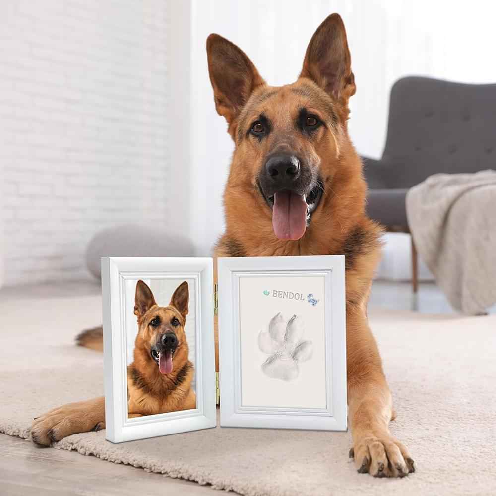 Pet Paw Print & Baby Handprint Keepsake Frame - Cherished Harbor Gifts