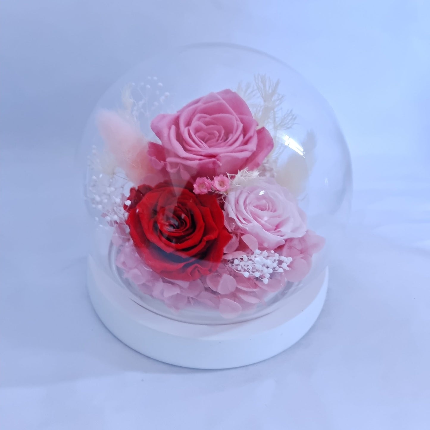 Preserved Real Rose Glass Dome Forever Rose Gift - Cherished Harbor Gifts
