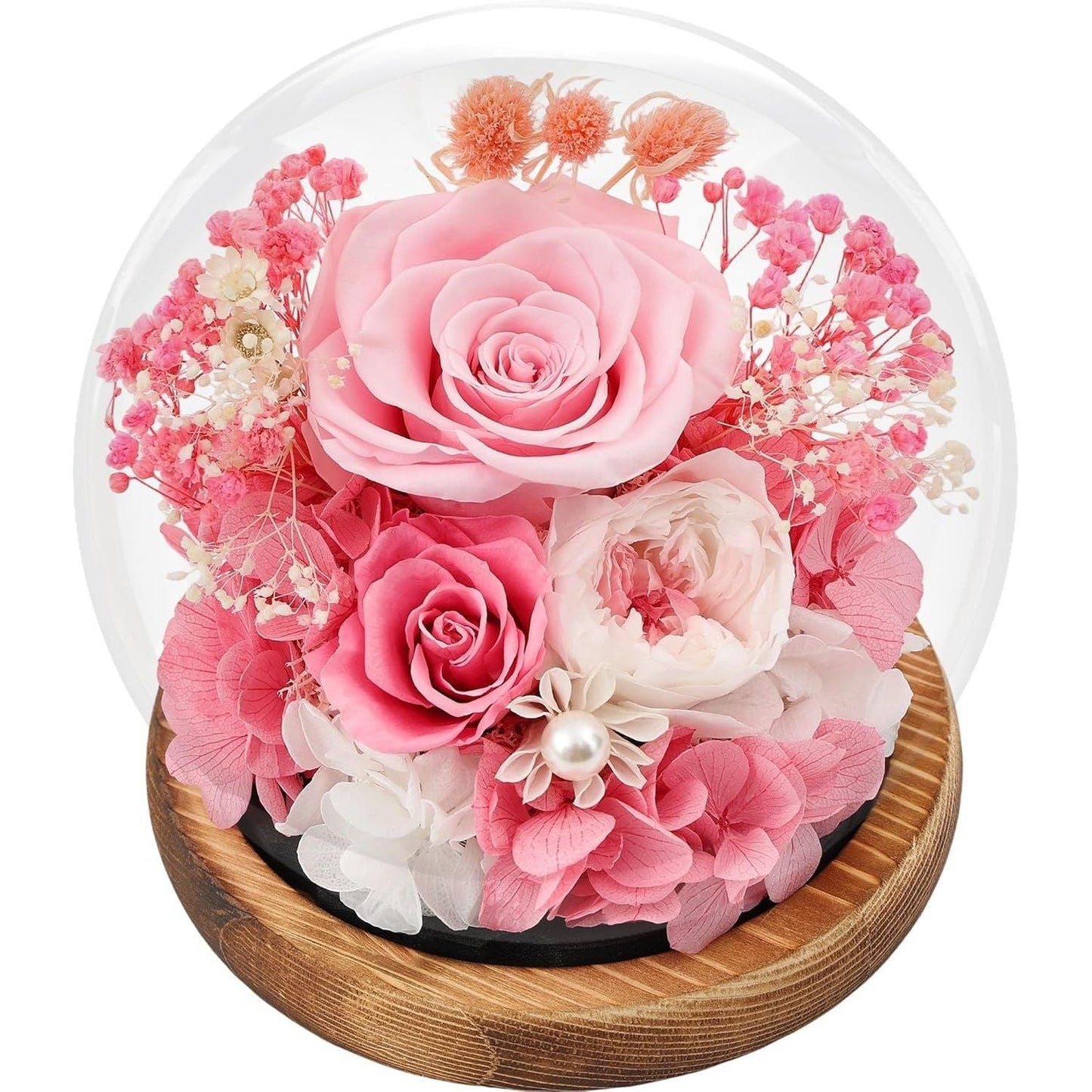 Preserved Real Rose Glass Dome Forever Rose Gift - Cherished Harbor Gifts
