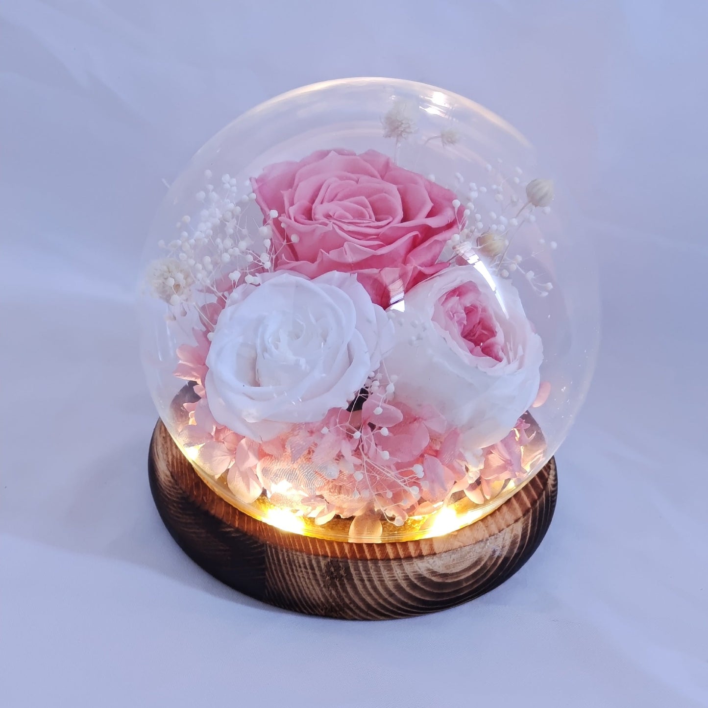 Preserved Real Rose Glass Dome Forever Rose Gift - Cherished Harbor Gifts